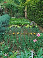 Vegetable garden with flowers