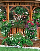Sommerblumen mixed / Hanging basket / Pavillon