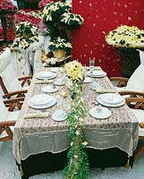 Tableware with Euphorbia pulcherrima