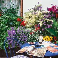 Gestaltung Sommerblumen, Gartenmöbel, Stilleben