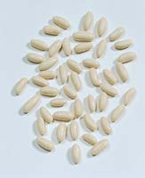 Bohnen-Samen / Phaseolus vulgaris Cabri