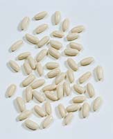 Bohnen-Samen / Phaseolus vulgaris Capitole