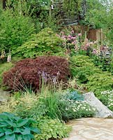 Gartenszene mit Acer und Blütenstauden
