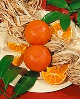 Tangerine / Citrus tangerina Sunburst type