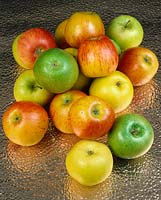 Apfel / Malus domestica Mischung
