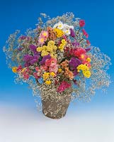 Trockenblumen Mischung in Vase / Boquet