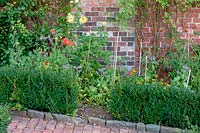 Barleywood Walled Garden, Wrington, Somerset, UK. Dahlias in cutting garden