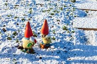 Garden on cold and snowy winter's day. Garden gnomes