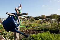 Watering can stand on allotment