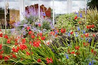 Derry Watkins' garden at Special Plants near Marshfield, Bath, UK.
