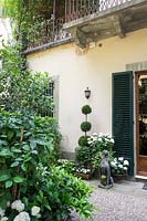 Palazzo Malenchini, Florence, Italy, chic courtyard garden with topiary and dog statue