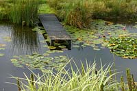 Hookhill Plantation, Devon, UK. ( The Big Grass Company, Alison and Scott Evans  ) large natural pond with wooden 'jetty'