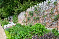 Cerney House Gardens, Gloucestershire, UK. ( Sir Michael and Lady Angus ) Walled kitchen garden with trained fruit trees