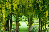 Cerney House Gardens, Gloucestershire, UK. ( Sir Michael and Lady Angus ) view through to sundial with Laburnum tunnel
