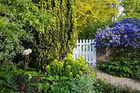 Bullock Horn Cottage, Wilts, UK ( des. Liz Legge ) small, contemporary cottage garden in early summer white picket gate