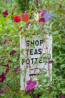 Cerney House Gardens, Gloucestershire, UK. ( Sir Michael and Lady Angus ) Walled kitchen garden, 'shop, teas, pottery' sign