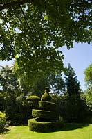 Watcombe Garden, Somerset, UK. Summer, topiary,  shaped hedging