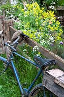 Chelsea Flower Show, 2009. The Fenland Alchemist Garden ( des. Hall and Besser ) Bicycle leaning on rustic fence in informal cottage garden
