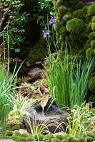 Small water spout feature in traditional Japanese style garden, The Satoyama Life Garden, des. Kazuyuki Ishihara.