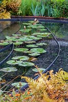 Chelsea Flower Show, 2013. Story Of Tranformation Garden, modern pond with lily pads