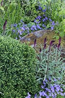 RHS Chelsea Flower Show 2014. The Brewer Dolphin Garden, designer Matthew Childs. Large moss covered rustic boulders in garden. 