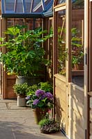 RHS Chelsea Flower Show 2014. Container planting alogside wooden greenhouse.  