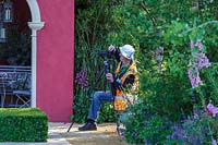 RHS Chelsea Flower Show 2014. Photographer Gary Rogers capturing the garden.  