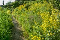 Hadspen Gardens, Somerset, UK. Summer, the yellow border with path leading through