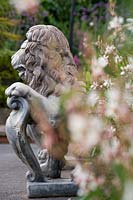 Ornate lion in summer garden