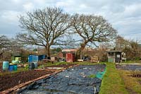 Allotments in early spring