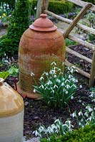 Dial Park, Worcestershire, spring bulb garden, rhubarb forcer in the vegetable garden