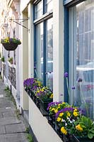 Spring windowboxes outside house in quiet suburban street