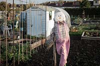 Scarecrow on allotment in Bristol