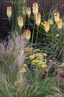 Hampton Court Flower Show 2014, the Hedgehog St Garden, des. Tracy Foster. Stipa tenuissima and Kniphofia