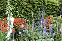 Deep summer border with Delphiniums and Crocosmia, supported with various plant supports