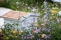 Hampton Court Flower Show, 2017. 'It's all about Community' garden, des. Andrew Fisher Tomlin and Dan Bowyer. Beehive and Thalictrum delavayi
