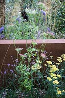 Hampton Court Flower Show, 2017. Brownfield Metamorphosis Garden, des. Martyn Wilson. Daucus carota , Achillea 'Moonshine' and Verbena bonariense against a rusted metal wall