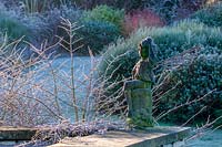 Lady Farm, Somerset, UK. ( Judy Pearce and Mary Payne ) Frosty winter garden