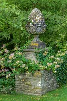 Hodges Barn, Gloucestershire, UK. Summer. Stone plinth with Honeysuckle ( Lonicera americana )