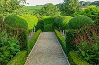 Lady Farm, Somerset, UK ( Judy Pearce, Mary Payne )small circular topiary garden with formal hedging around informal perennial planting