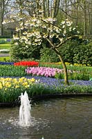Keukenhof Gardens, The Netherlands. Spring display of bulbs in park setting.