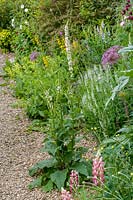 Hillesley House, Gloucestershire, UK ( Walsh ) gravel path with self seeded annuals and biennials