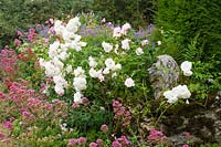 Hodges Barn, Gloucestershire, UK ( Hornby  ) informal planting of Valerian and Roses with stone lion statue