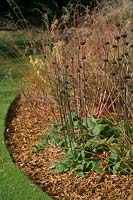 Knoll Gardens, Dorset, UK ( Neil Lucas ) autumn beds with grasses and seedheads