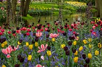 Keukenhof Gardens in spring.  Colourful spring border