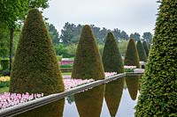 Keukenhof Gardens in spring.  Colourful spring borders around clipped topiary hedging