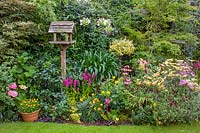 62 Hillcrest Rd, Nailsea, Somerset, UK. ( Andy Luft ) small town garden with good structure, interesting trees and shrubs. bird table amidst massed informal summer planting