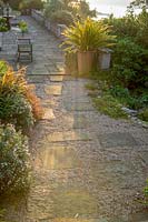 The Moult, Salcombe, Devon,UK ( Owner R. Seal ). Summer garden by the sea. Paving and gravel terrace