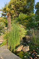The Moult, Salcombe, Devon,UK ( Owner R. Seal ). Summer garden by the sea. pond with tropical style planting