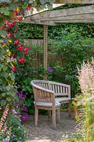 18 Queens Gate, Bristol, UK ( Sheila White ) small town garden in summer. bench in pergola area